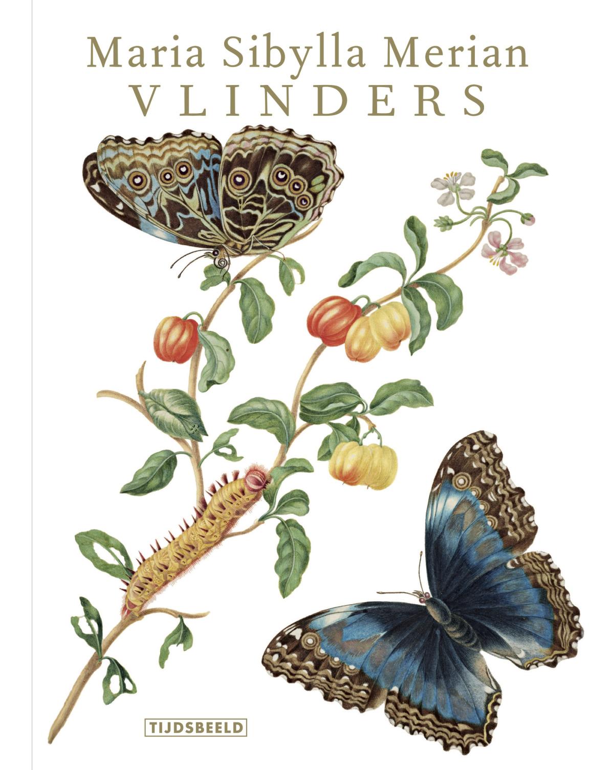 Maria Sibylla Merian – Vlinders